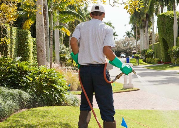 About North Baltimore OH Pest Control
